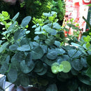 16 Heads Eucalyptus Bouquet Branches Silk Artificial Leaves Flower Decorati I1D9