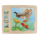 Kids Puzzle Game, Butterfly Growing Story Family Game Activity, 4 Layer