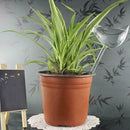 Glass Plant Flowers Water Feeder Self Watering Bird Swan Plant Waterer Devices