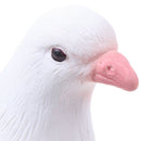 Surprise Stage Magic Tricks Simulation Lifelike Pigeons Magic Tricks Props ToME