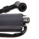 Ignition Coil Module for Buyang 300CC D300 G300 H300 ATV Quad BUGGY Black