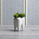 Tooth Shape White Ceramic Flower Pot Modern Design Decor Teeth Desktops Pla J7A6