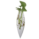 Ice cone & Icicle Set Hanging Glass Flower Planter Vase Terrarium Container