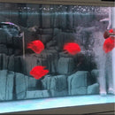 Activated Carbon Water Filter Eco-Aquarium Water Purifier Cube Honeycomb Ul G1W5