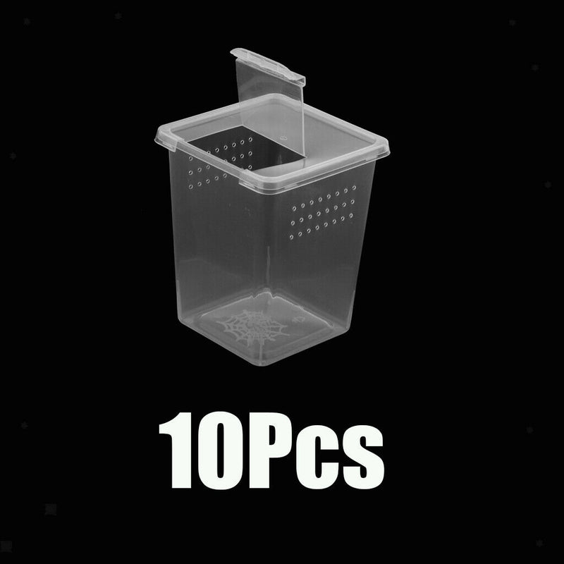 10x Clear Plastic Insect Lizard Habitat Feeding Box Container 3x3x4 inch