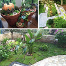 16 Pack Artificial Garden Grass,Fairy Artificial Grass Life-Like Artificial