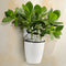 6-Packs Self Watering Hanging Planter Colorful Flower Pot for Home - S