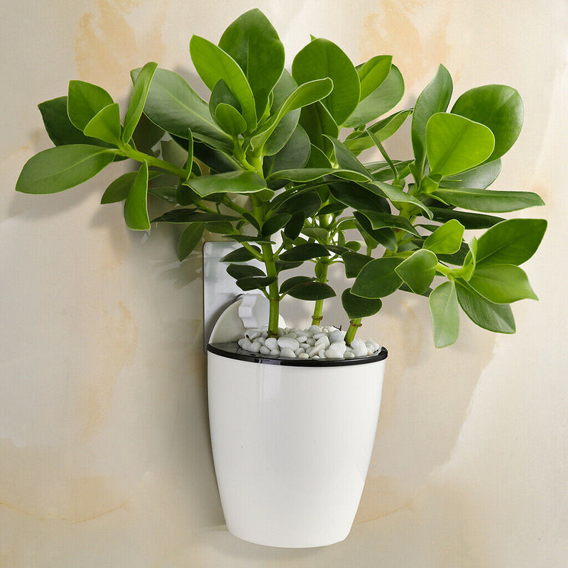 6-Packs Self Watering Hanging Planter Colorful Flower Pot for Home - S