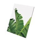 Tropical Palm Leaf Print Banana Leafs Wall Art Painting Picture on Canvas S
