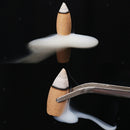 70Pcs Mixed Incense Bullet Cone Zen Yoga Tea House Smoke Tower Backflow Cone