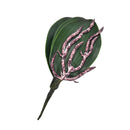 Artificial Green Rose Leaves/Butterfly Orchid  Silk Leaf Beauty Plant Decor 3C