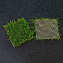 304 Edelstahl-Maschendraht-Auflage-Aquarium-Pflanzen / K2N0 Moos-Netz Aquas H4W2