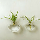 5 Pieces Hexagon Wall Hanging Plant Terrarium Glass Planter Vase, 13CM
