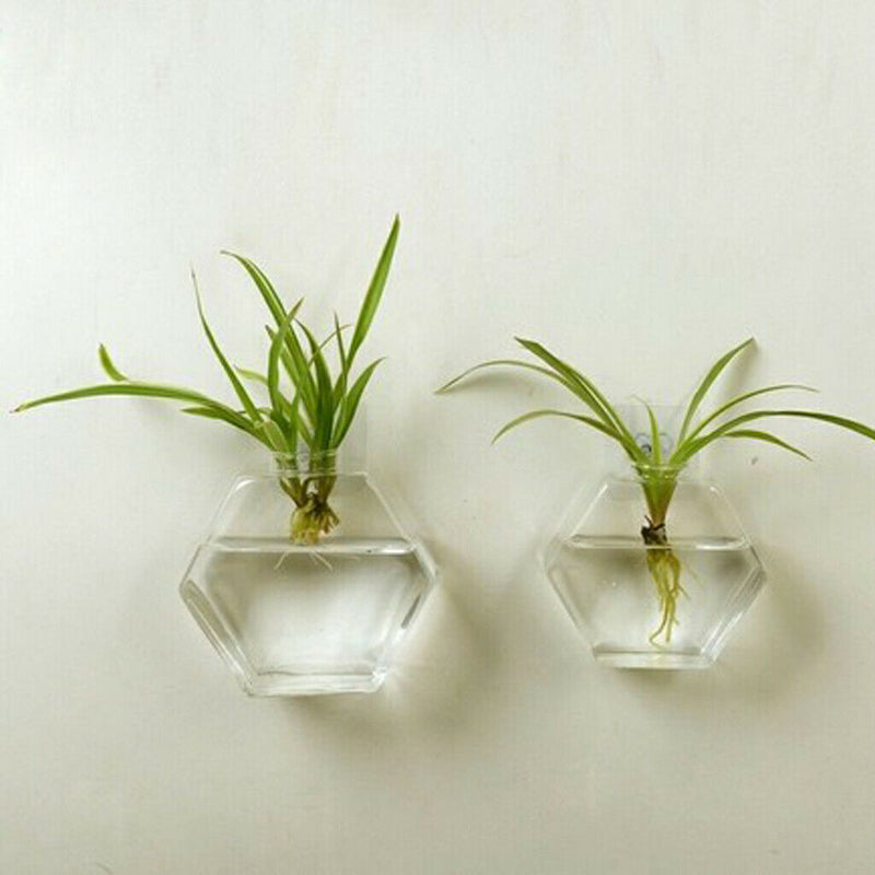 5 Pieces Hexagon Wall Hanging Plant Terrarium Glass Planter Vase, 13CM