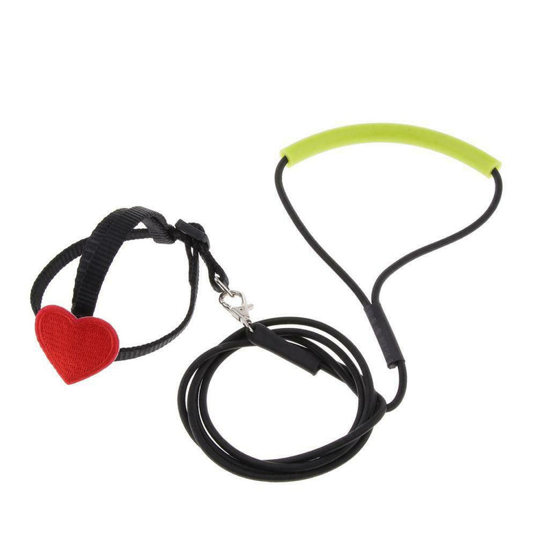 3x  Bird Harness And Leash for Birds Macaw Cockatoos Amazon Parrot Budgies