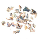 1 Box Natural Shell Piece Multicolor Fragments Nail Patch Nail Art (3)
