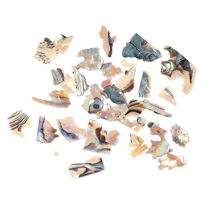 1 Box Natural Shell Piece Multicolor Fragments Nail Patch Nail Art (3)