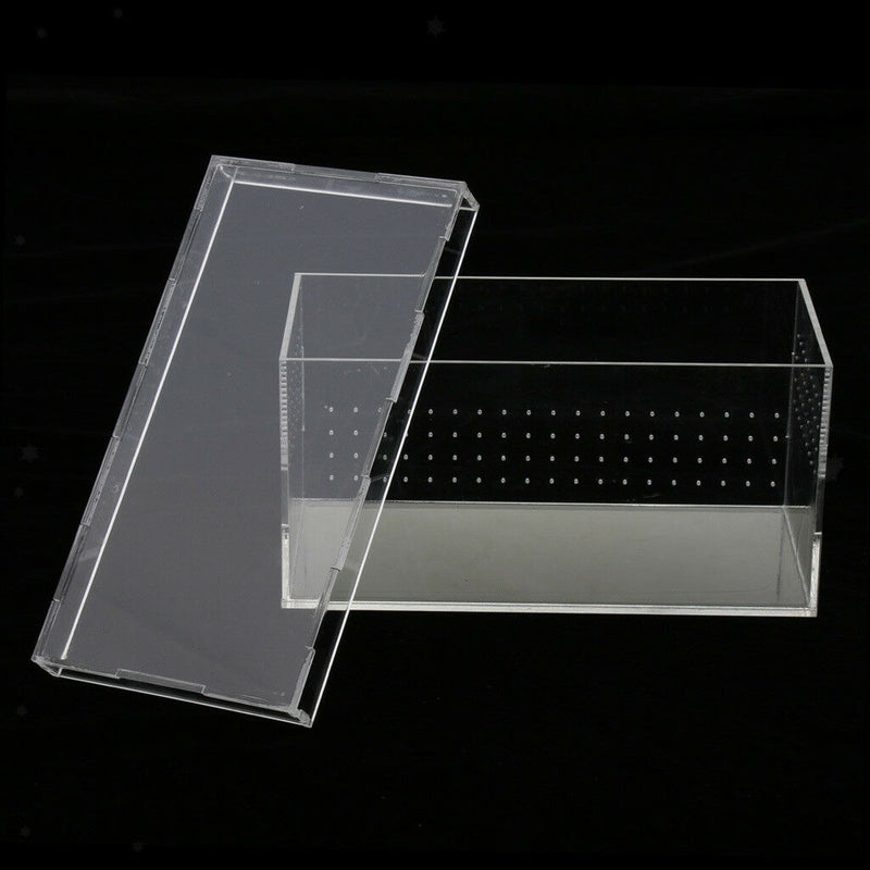 Clear Acrylic Reptile Terrariums Plant Feeding Tank Insect Breeding Box