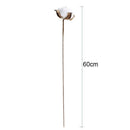 20Pcs 24 Inches Natural Dried Cotton Stem, Farmhouse Artificial Flower FilleP9B8
