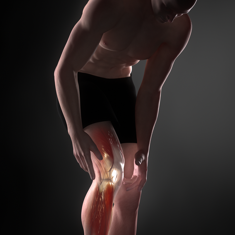 Knee Brace Support Pad Arthritis Joint Pain Relief Self Heating Magnetic Therapy