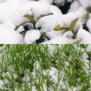 Artificial Snowflakes Instant Snow frozen Man-Made Snow Powders Christmas De â„–[