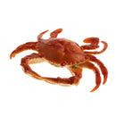 Artificial Lifelike , Decoration For Kitchen Fishing Accessories