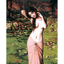 Sexy Beauty DIY Painting By Numbers Wall Art Paints On Canvas Oil Painting