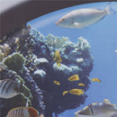 fish Ocean View windows wall door stickers for washing machine decor wall  OZ