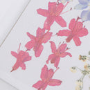 Real Dried Flower Material Dyeing Flower For Craft Phone Case DIY Accessori%!
