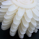 White Acrylic UV False Nail Art Design Tips Polish Display Practice Wheel,  E6I1