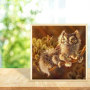 5D DIY Full Drill Diamond Painting Animal Cross Stitch Mosaic Kits Decor