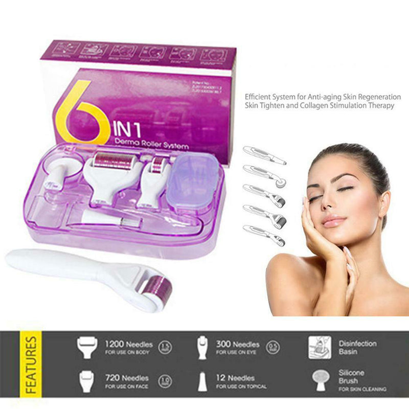 6 in 1 Derma Roller Titanium Needle Skin Care Kit Micro Needle for Face and Body