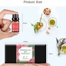 6 Bottles 10ml Essential Aromatherapy Oil Pure Natural Set for Aroma Diffuser