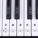 88 Keys 61 Keys 54 Keys Transparent Piano Keyboard Stickers Electronic Keyb