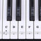 88 Keys 61 Keys 54 Keys Transparent Piano Keyboard Stickers Electronic Keyb
