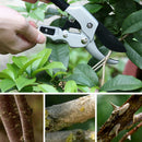 Professional SK-5 Steel Blade Sharp Anvil Pruning Shears Garden Shears