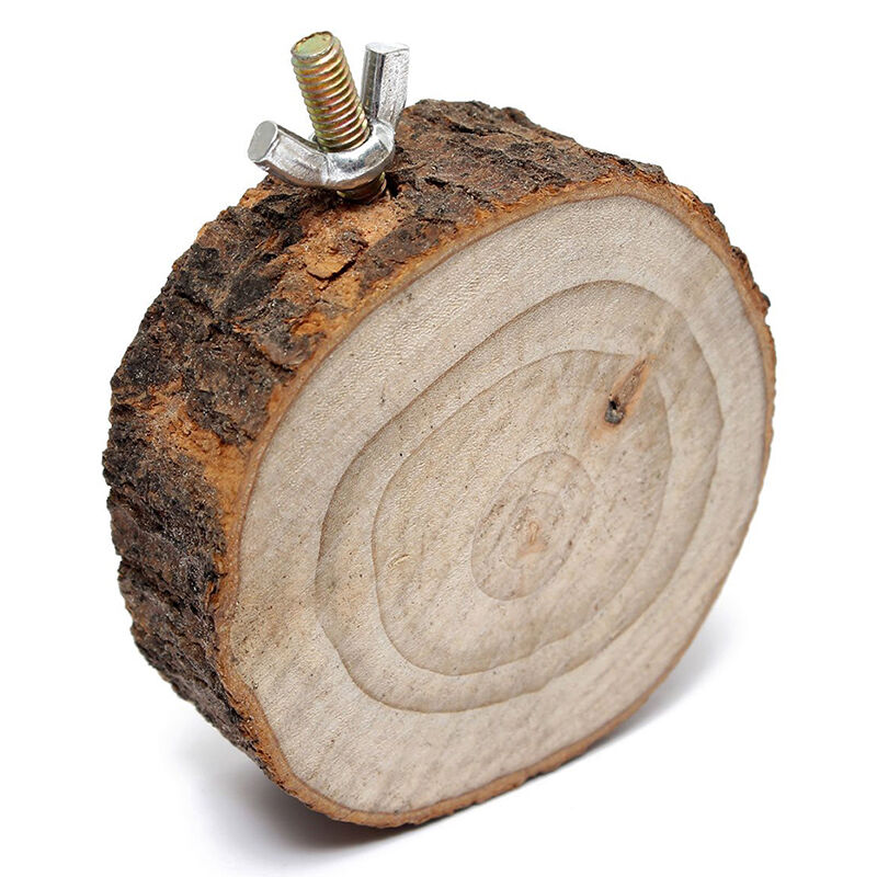 Parrot Pet Bird Round Platform Toys Wooden Hanging Stand Perch Cockatiel Fun