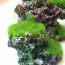Aquarium Mountain Coral Reef Rock Cave Stone Moss View Tank Gift Ornament F Z6I8
