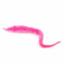 6pcs Magical caterpillars toys Carnival party favors - 6 different colors K3A2