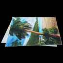 5x3FT Seaside Beach Palm Vinyl Studio Photography Backdrop Photo