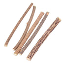 25X Cat Cleaning Teeth Pure Natural Catnip Pet Cat Molar Toothpaste Stick