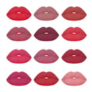 12 Pack Professional Matte Lipstick Set Long Lasting Waterproof Matte Tint Lip