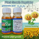 20ml Concentrate Gibberellic Acid Liquid 920 Growth Break Regulator C3B0