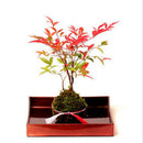 3Pcs Green Artificial Moss Balls Decorative Planters, Ideal for Vases, Table