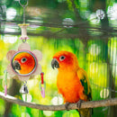 Mirror Parrot Stand Swing Bar Ladder GFIE Bird Toys With Bells Bird