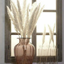 15x Natural Dried Pampas Grass Reed Flower Bunch Home Wedding Vase Decoration