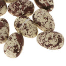 Set of 10pcs 1.2'' Speckled Decorated Faux Eggs Home Nature Craft Decor -YLW