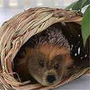 Natural Grass Straw Rabbit Hamster Totoro Guinea Pig Guinea-Rabbit S4Y9