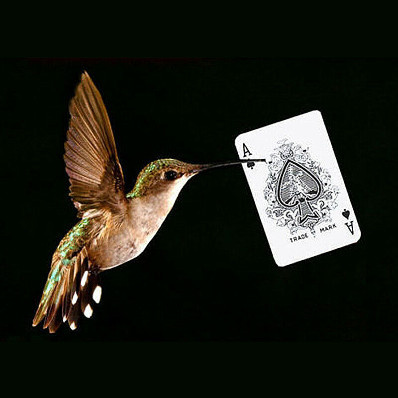 Close Up Magic Stage Street Trick Hummingbird Floating Card UFO Card Well SMQ