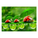 Green Leaf Ladybug 5D Diamond Painting Embroidery DIY Cross Stitch Decor